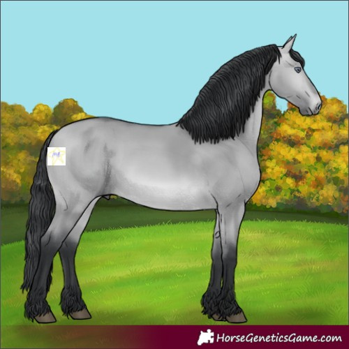 Horse Color:Bay Chinchilla Dun 
