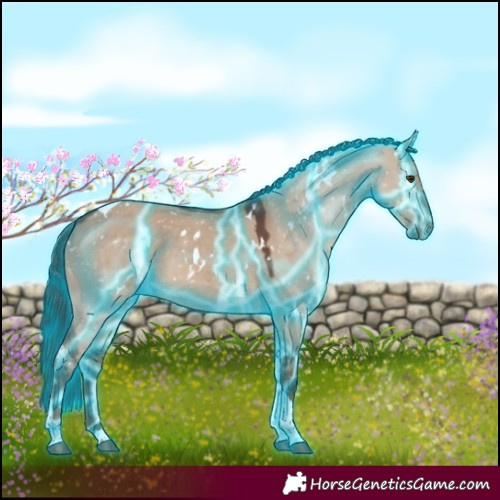 Horse Color:Thunderstruck White Spotted Liver Red Dun Tobiano 