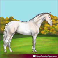 Horse Color:Gold Cream Champagne Pearl Tobiano Rabicano 