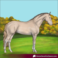 Horse Color:Perlino Tobiano Rabicano