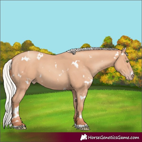 Horse Color:White Spotted Silver Classic Champagne