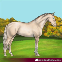 Horse Color:Gold Cream Champagne Pearl Tobiano Rabicano