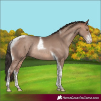 Horse Color:Sable Champagne Sabino Tobiano Rabicano