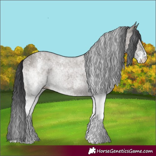 Horse Color:White Spotted Grullo 