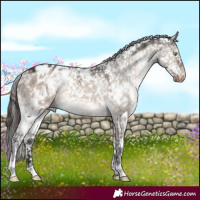Horse Color:White Spotted Brown Dun Mushroom Appaloosa 