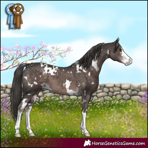 Horse Color:Platinum White Spotted Liver Chestnut 
