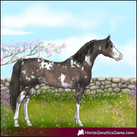 Horse Color:Platinum White Spotted Liver Chestnut