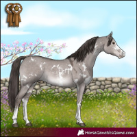 Horse Color:Platinum White Spotted Liver Red Dun Sabino
