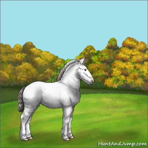 Horse Color:Chocolate Brown Dun Sabino 