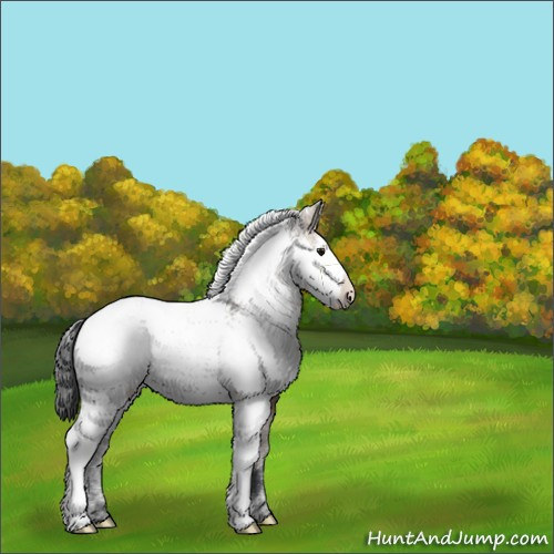 Horse Color:Brown Dun Sabino Rabicano 