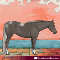 Horse Color:Silver Black Tobiano 
