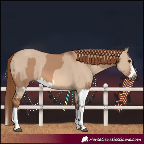 Horse Color:Red Dun Splash  and Red Dun Splash Frame 