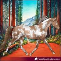Horse Color:White Spotted Liver Chestnut Pearl 
