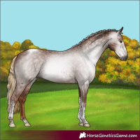 Horse Color:Gray Chestnut Sabino Tobiano Rabicano