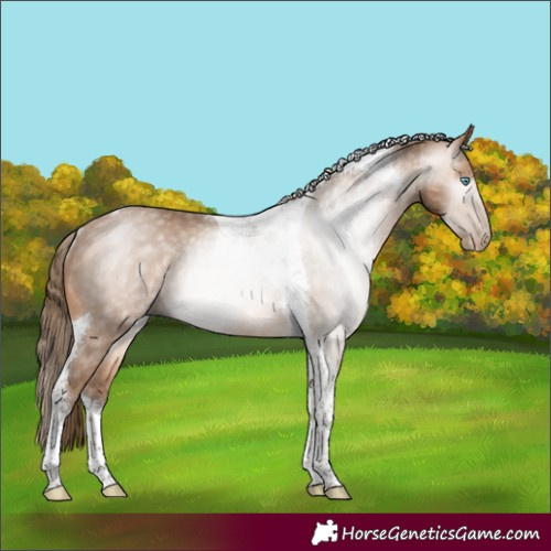 Horse Color:Gray Perlino Tobiano Rabicano