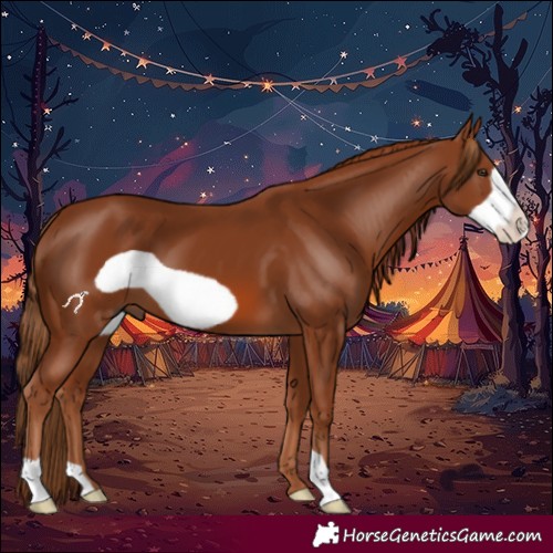 Horse Color:Chestnut Frame 