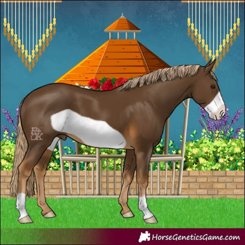 Horse Color:Chocolate Palomino Frame 