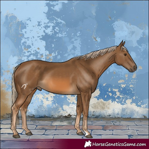 Horse Color:Chocolate Palomino 
