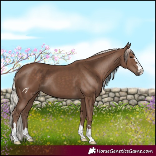 Horse Color:Silver Black 