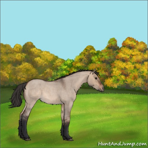 Horse Color:Brown Roan Dun 