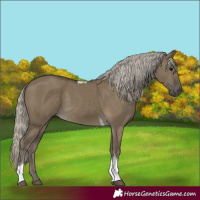 Horse Color:Silver Smoky Grullo Tobiano
