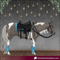 Horse Color:Silver Black Tobiano 