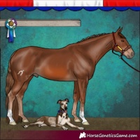 Horse Color:Chestnut 
