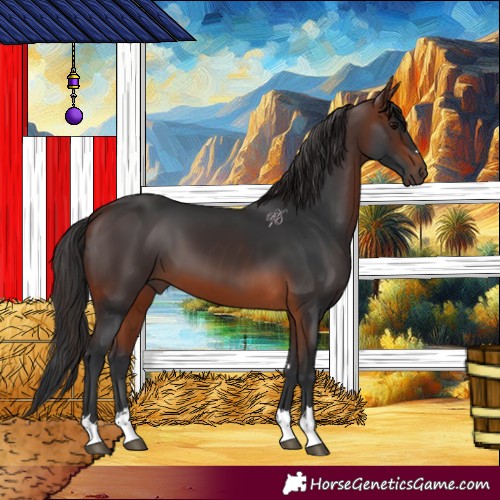 Horse Color:Brown 