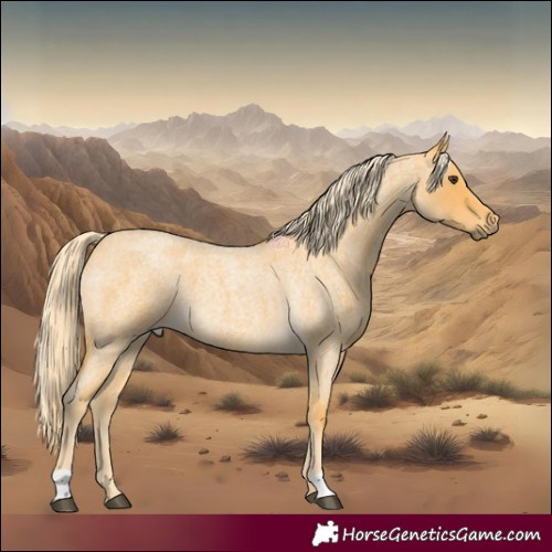 Horse Color:Palomino Roan 