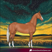 Horse Color:Silver Bay 