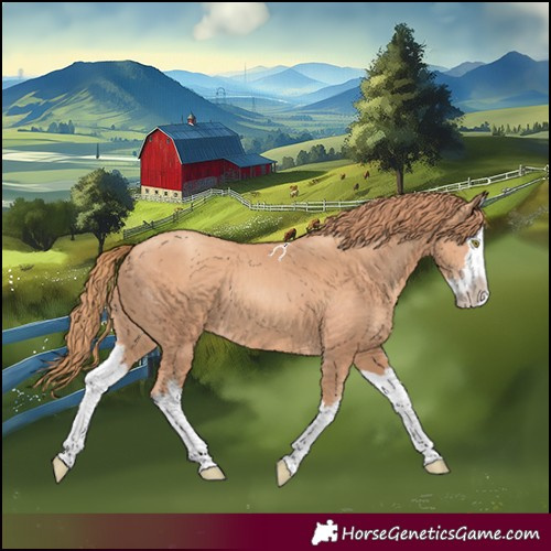 Horse Color:Gold Champagne Splash 