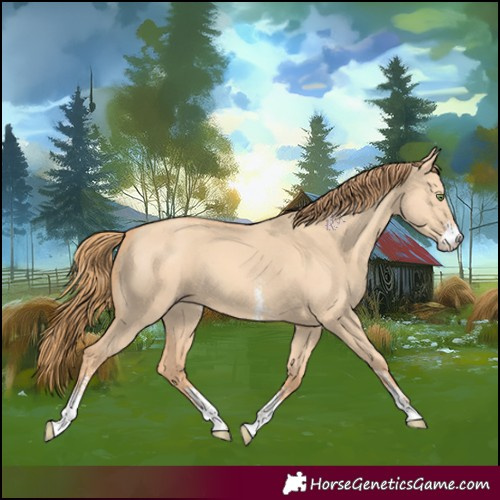 Horse Color:Gold Champagne Dun Sabino 