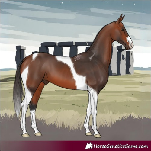 Horse Color:Bay Tobiano 
