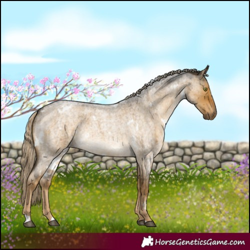 Horse Color:White Spotted Chocolate Palomino Roan Dun Mushroom Brindle 