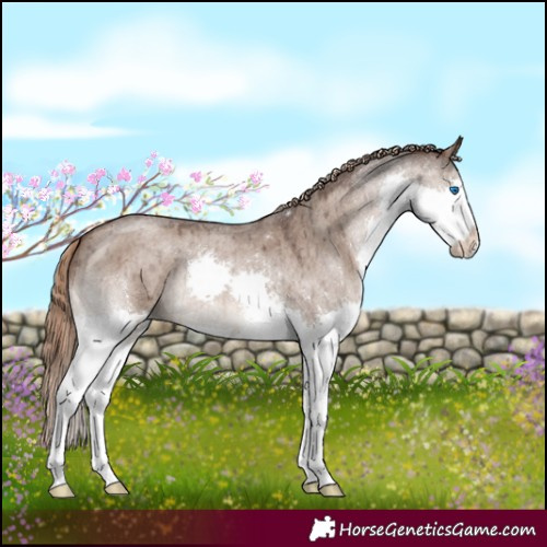 Horse Color:Liver Red Dun Roan Splash Brindle 