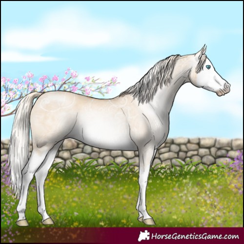 Horse Color:Gray White Spotted Cremello Ice Dun Mushroom Splash 