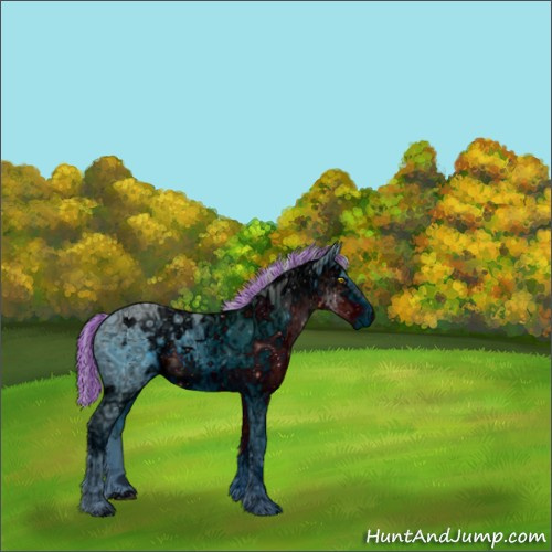 Horse Color:ERROR: UNKNOWN ANOMALY