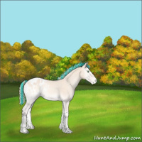 Horse Color:Painted Perlino Onyx Blanket Rabicano 