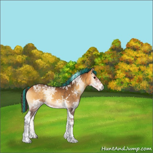 Horse Color:Painted Buckskin Ice Onyx Tobiano Rabicano