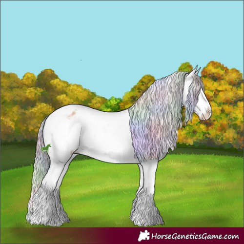Horse Color:Nacre Chocolate Palomino Dun Sabino Tobiano Appaloosa 