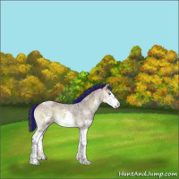 Horse Color:Painted White Spotted Bay Ice Roan Onyx Splash