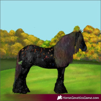 Horse Color:ERROR: UNKNOWN ANOMALY
