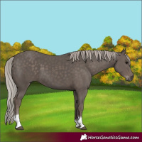 Horse Color:Silver Black Tobiano