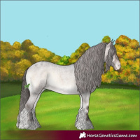 Horse Color:Brown Roan Onyx Varnish