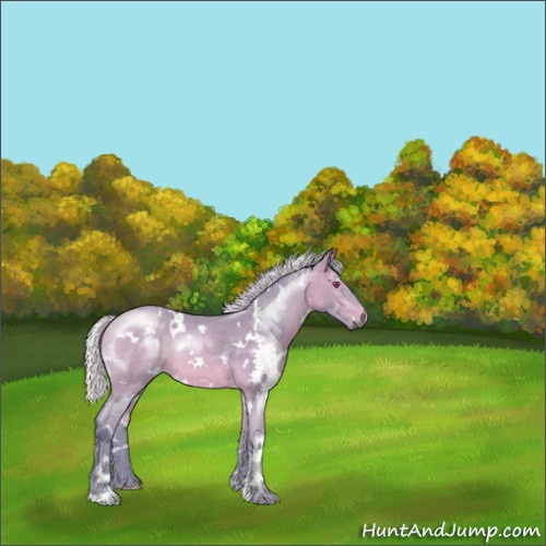 Horse Color:Watercolor White Spotted Chocolate Silver Bay Chinchilla Sabino