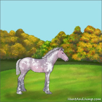 Horse Color:Watercolor White Spotted Chocolate Silver Bay Chinchilla Sabino 