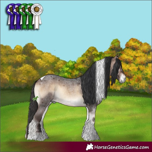 Horse Color:Brown Roan Onyx Tobiano 