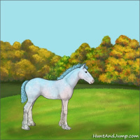 Horse Color:Watercolor Black Chinchilla Ice Sabino
