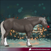 Horse Color:Silver Black Tobiano 