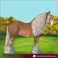 Horse Color:White Spotted Chocolate Palomino